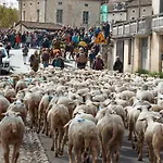 De Caractere, 4 Pers, Village Medieval Martel, Animaux Admis, Wifi Gratuit - Fr-1-828-15 Martel