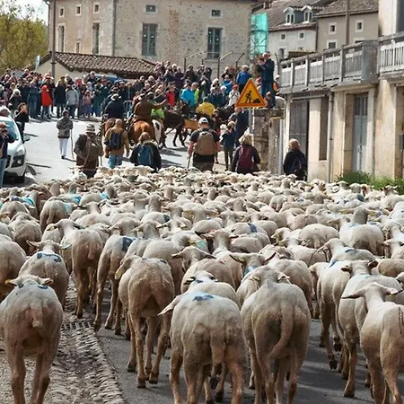 De Caractere, 4 Pers, Village Medieval Martel, Animaux Admis, Wifi Gratuit - Fr-1-828-15 Martel